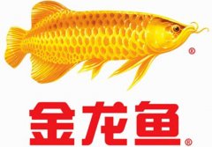 金龍魚到底是不是中國企業？為什么會入選國家品牌？